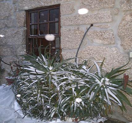 Casa Das Lages Alvoco da Serra ภายนอก รูปภาพ